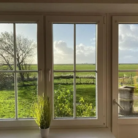 Charming In Schleswig-holstein *